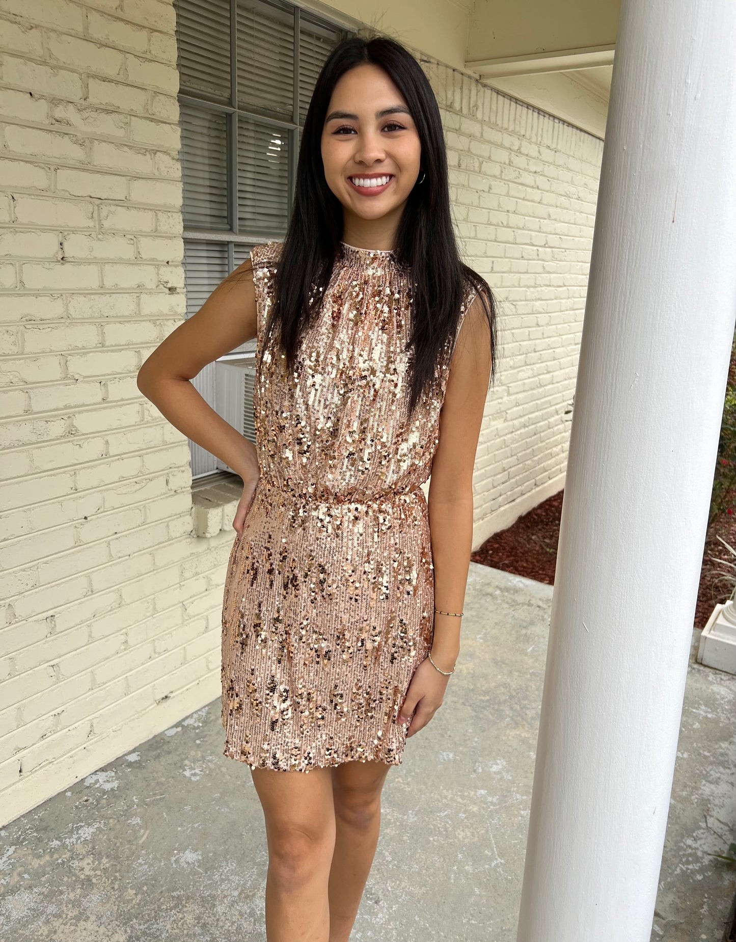 Sylvia Sequins Dress