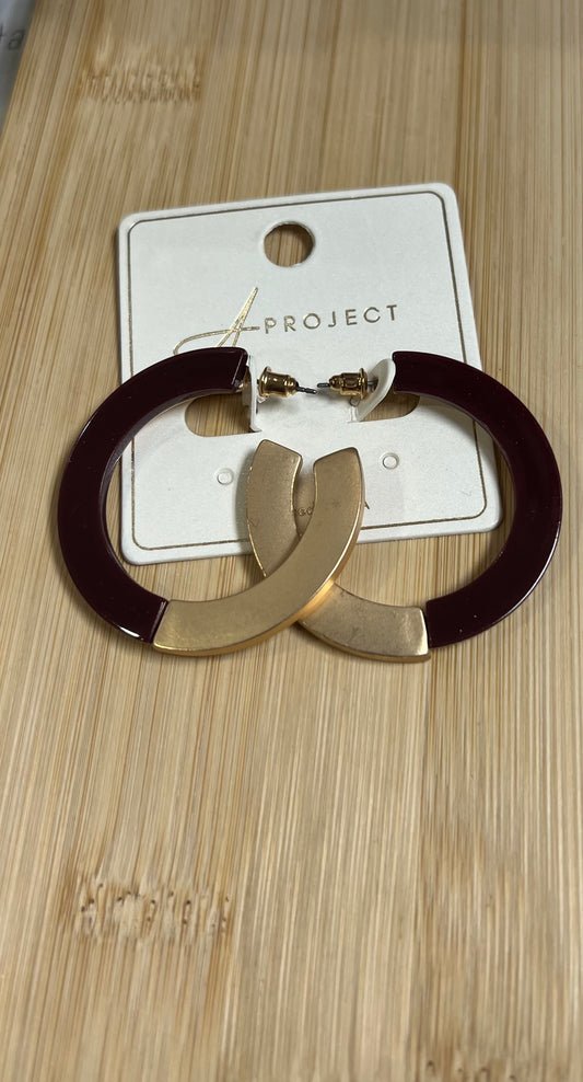 Two Tone Hoops