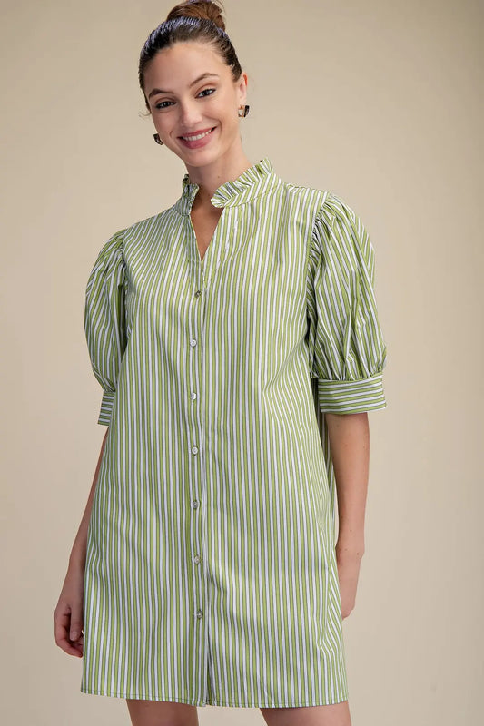 Ruffle V-Neck Puff Sleeve Stripe Mini Dress