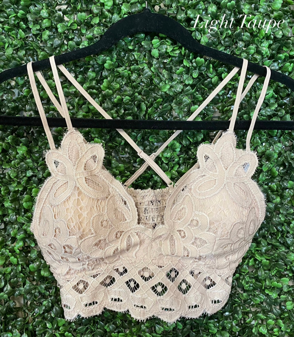 This Could Be Love Bralette